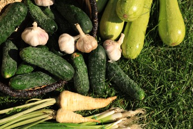 Photo of Scattered fresh ripe vegetables and wicker basket on green grass, top view