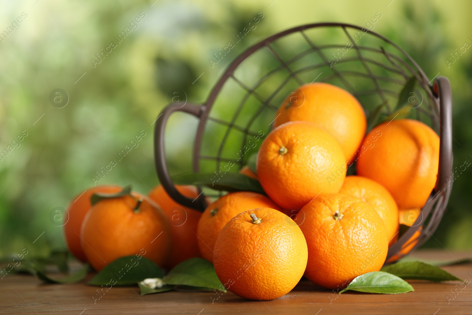 Photo of Fresh ripe oranges on wooden table against blurred background. Space for text