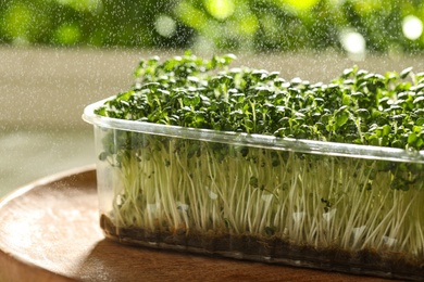 Photo of Spraying sprouted arugula seeds on wooden table, closeup