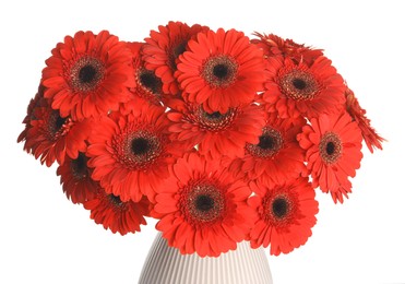 Bouquet of beautiful red gerbera flowers in ceramic vase on white background, closeup
