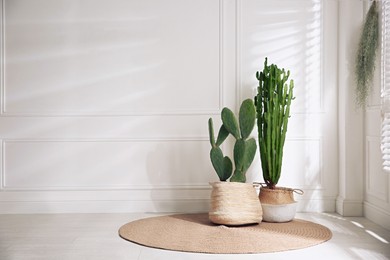 Photo of Stylish room with beautiful potted cacti, space for text. Interior design