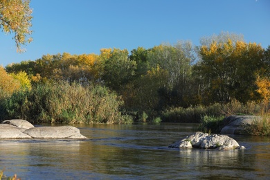 Picturesque view of autumn forest near pond