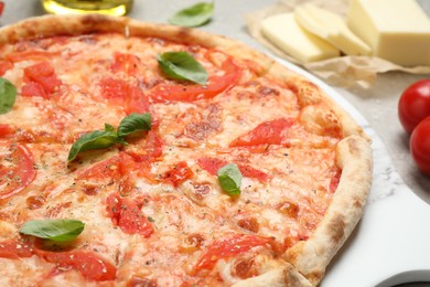 Delicious pizza Margherita and ingredients on light table, closeup