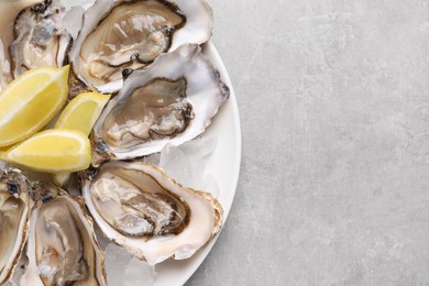 Delicious fresh oysters with lemon slices on light grey table, top view. Space for text