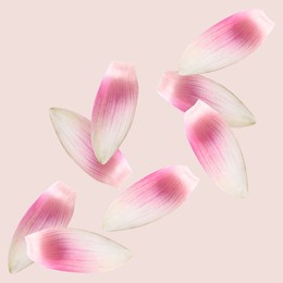 Image of Lotus flower petals falling on beige pink background