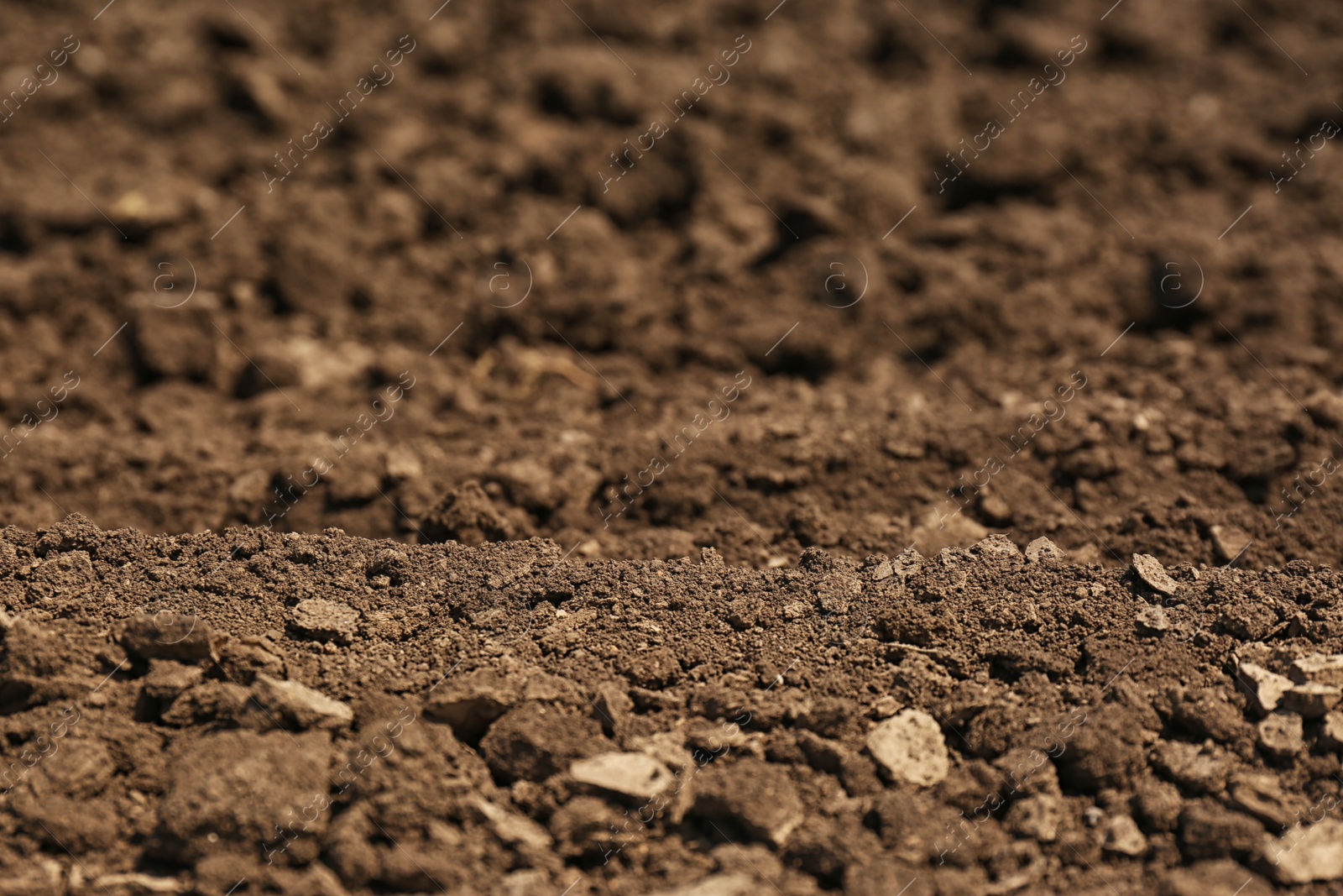 Photo of Fertile ground surface on sunny day as background