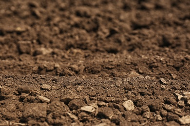 Fertile ground surface on sunny day as background