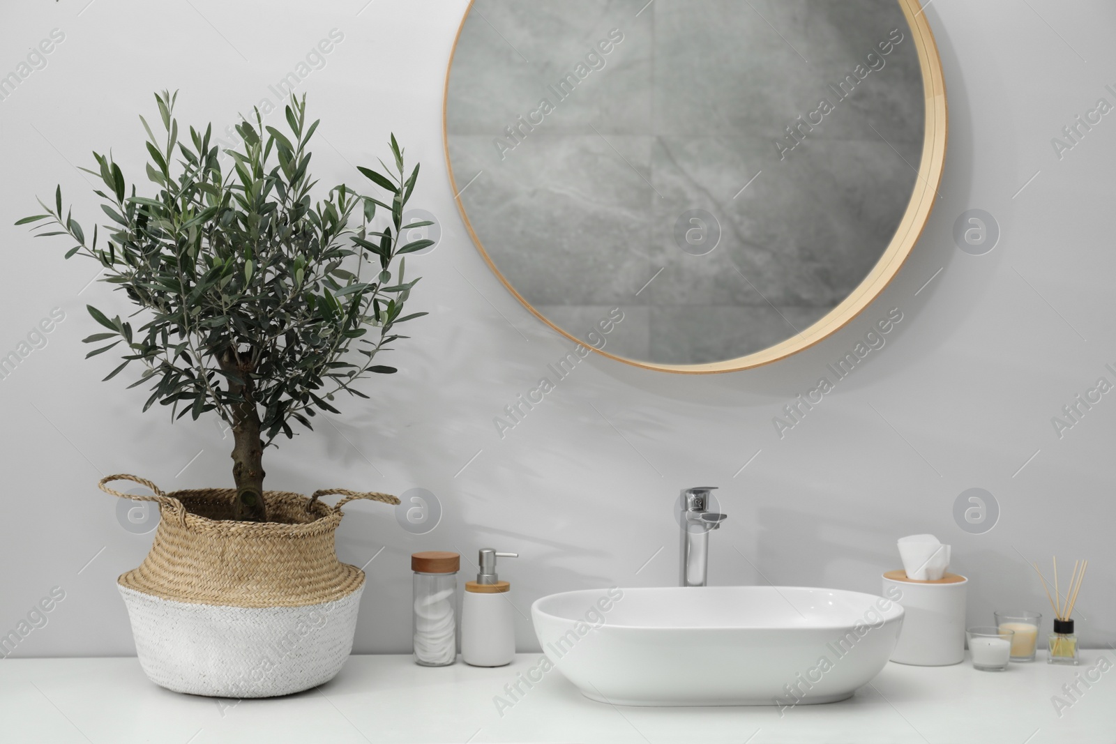 Photo of Beautiful young potted olive tree and toiletries near sink on bathroom counter. Interior design