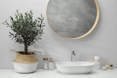 Photo of Beautiful young potted olive tree and toiletries near sink on bathroom counter. Interior design