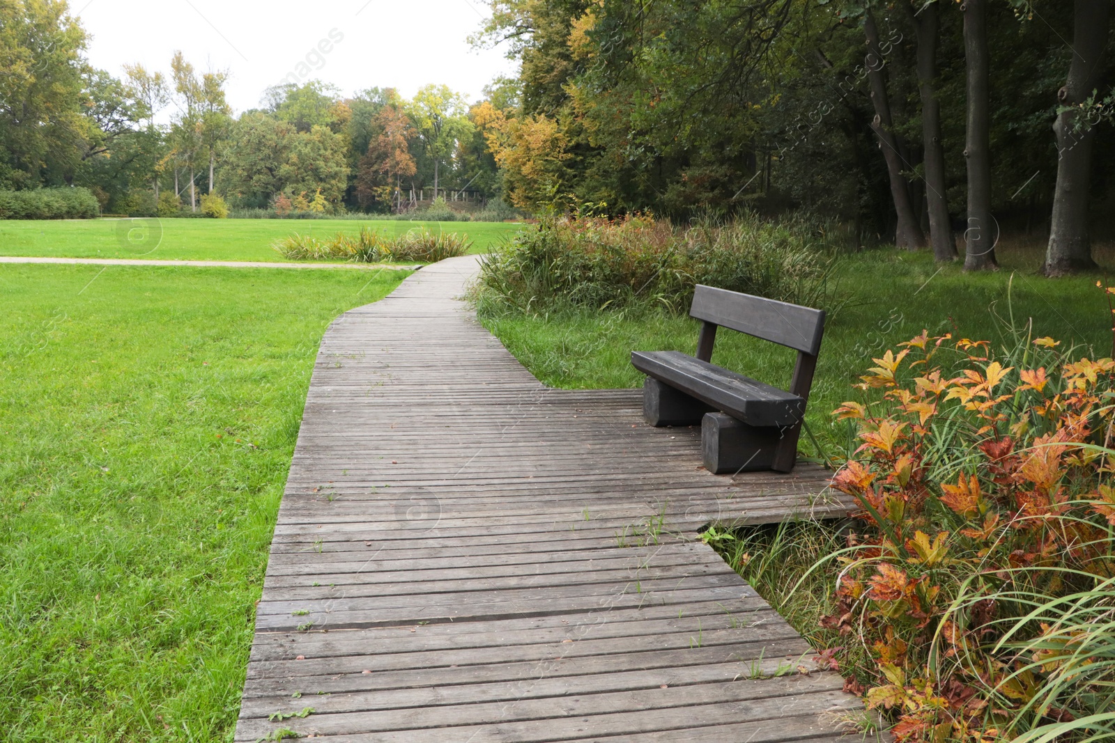 Photo of Wooden bench near pathway in beautiful public city park
