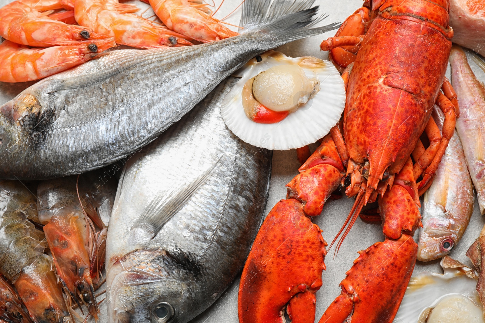 Photo of Fresh fish and seafood on marble table