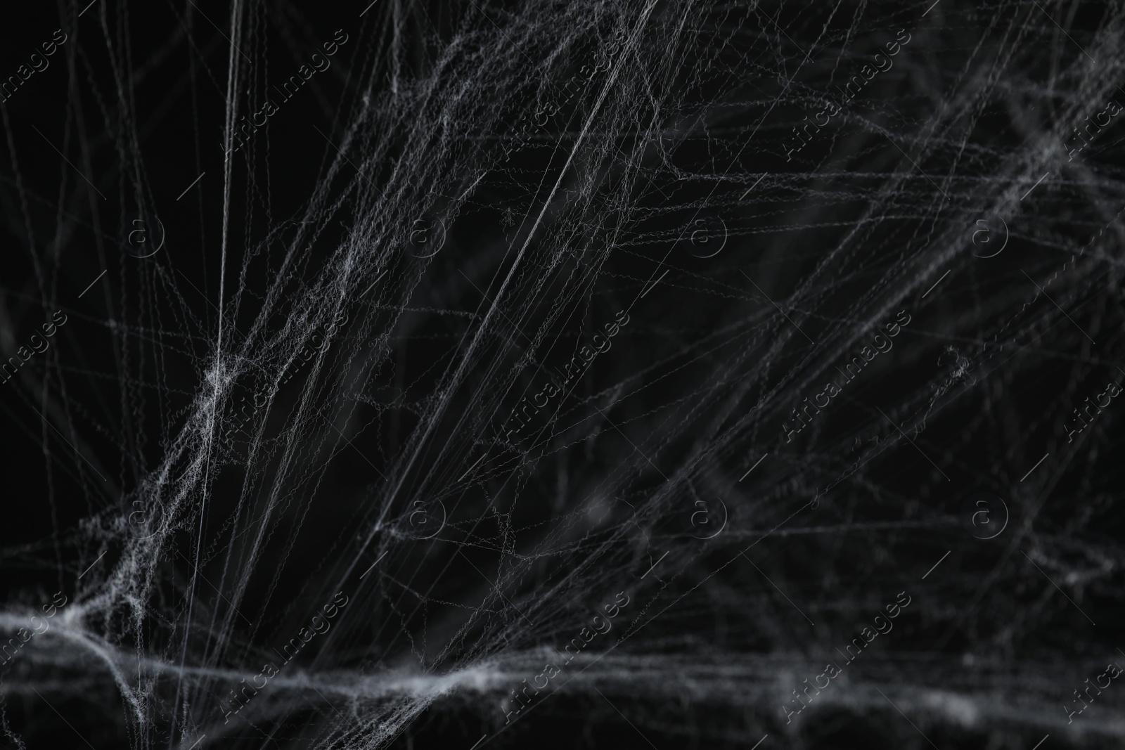 Photo of Creepy white cobweb on black background, closeup