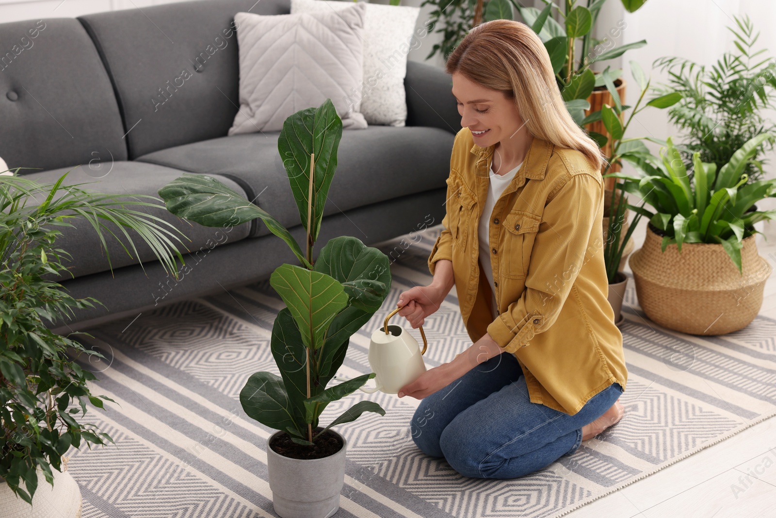 Photo of Woman watering beautiful potted houseplant at home