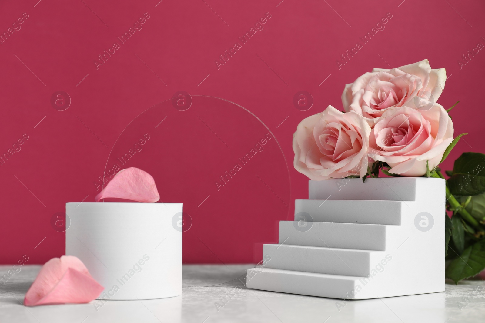 Photo of Stylish presentation of product. Beautiful roses and geometric figures on white table against pink background