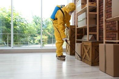 Photo of Pest control worker in protective suit spraying pesticide indoors. Space for text
