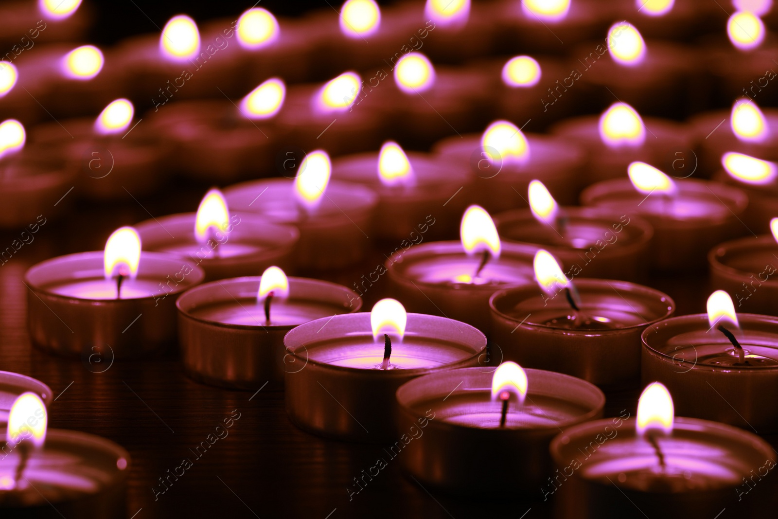 Image of Beautiful burning violet candles on black background. Funeral attributes