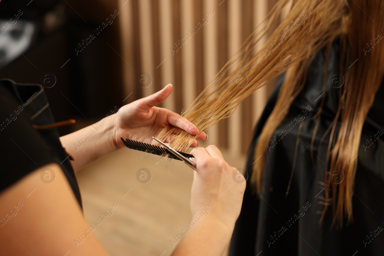 Photo of Professional hairdresser combing girl's hair in beauty salon, closeup