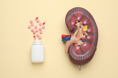 Photo of Kidney model and jar with pills on beige background, flat lay