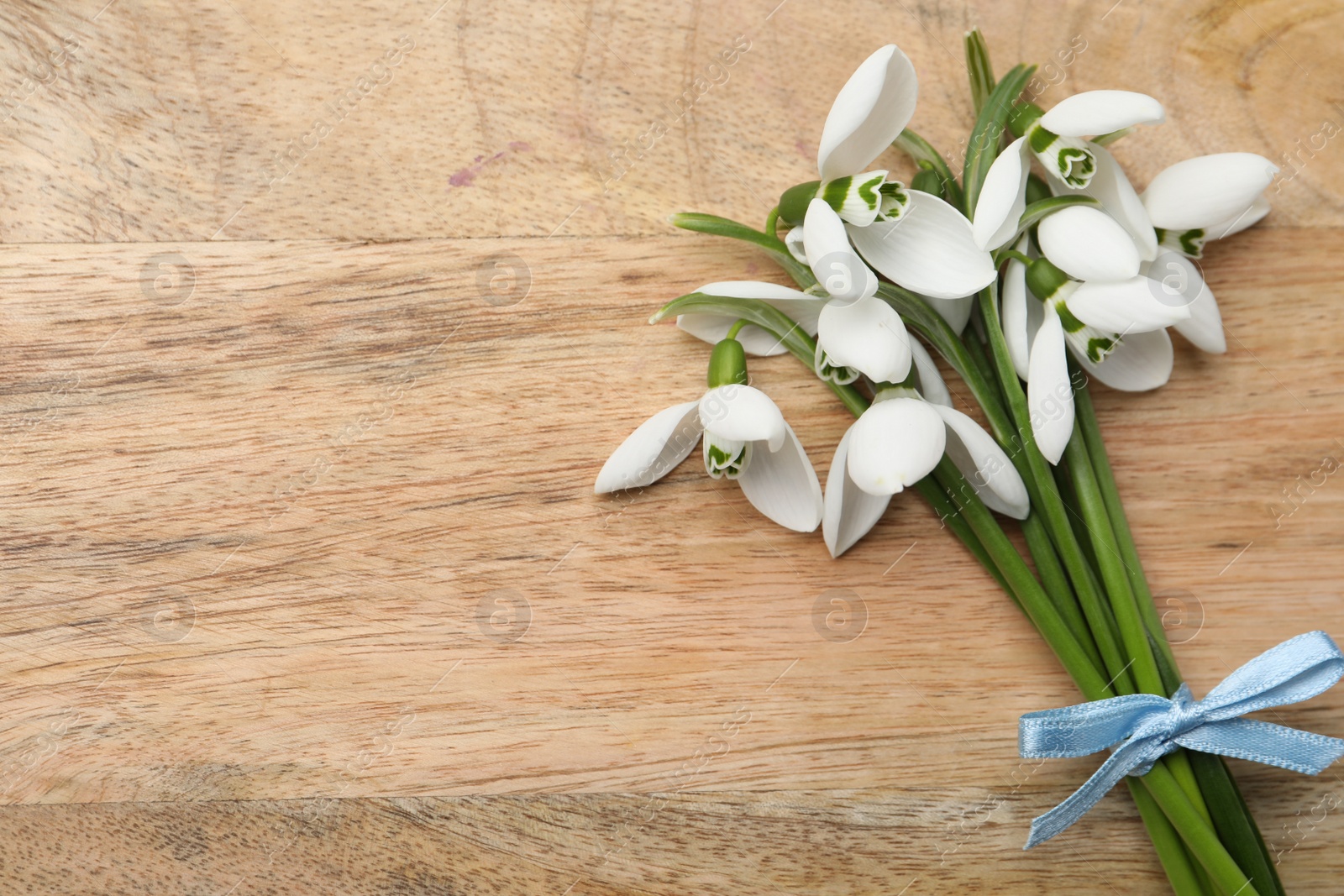 Photo of Beautiful snowdrops on wooden table, top view. Space for text