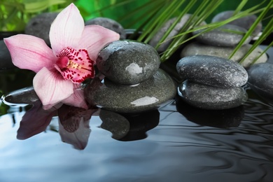 Zen stones and beautiful exotic flower in water