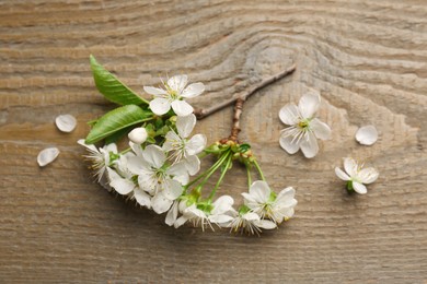 Photo of Spring branch with beautiful blossoms and petals on wooden table, flat lay