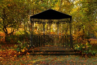 Photo of Black metal gazebo and yellowed trees in park