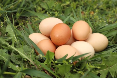 Photo of Fresh chicken eggs on green grass outdoors