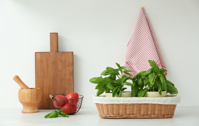 Fresh green basil in pots on white countertop in kitchen