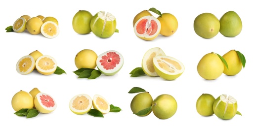 Image of Set of fresh exotic pomelo fruits on white background. Banner design