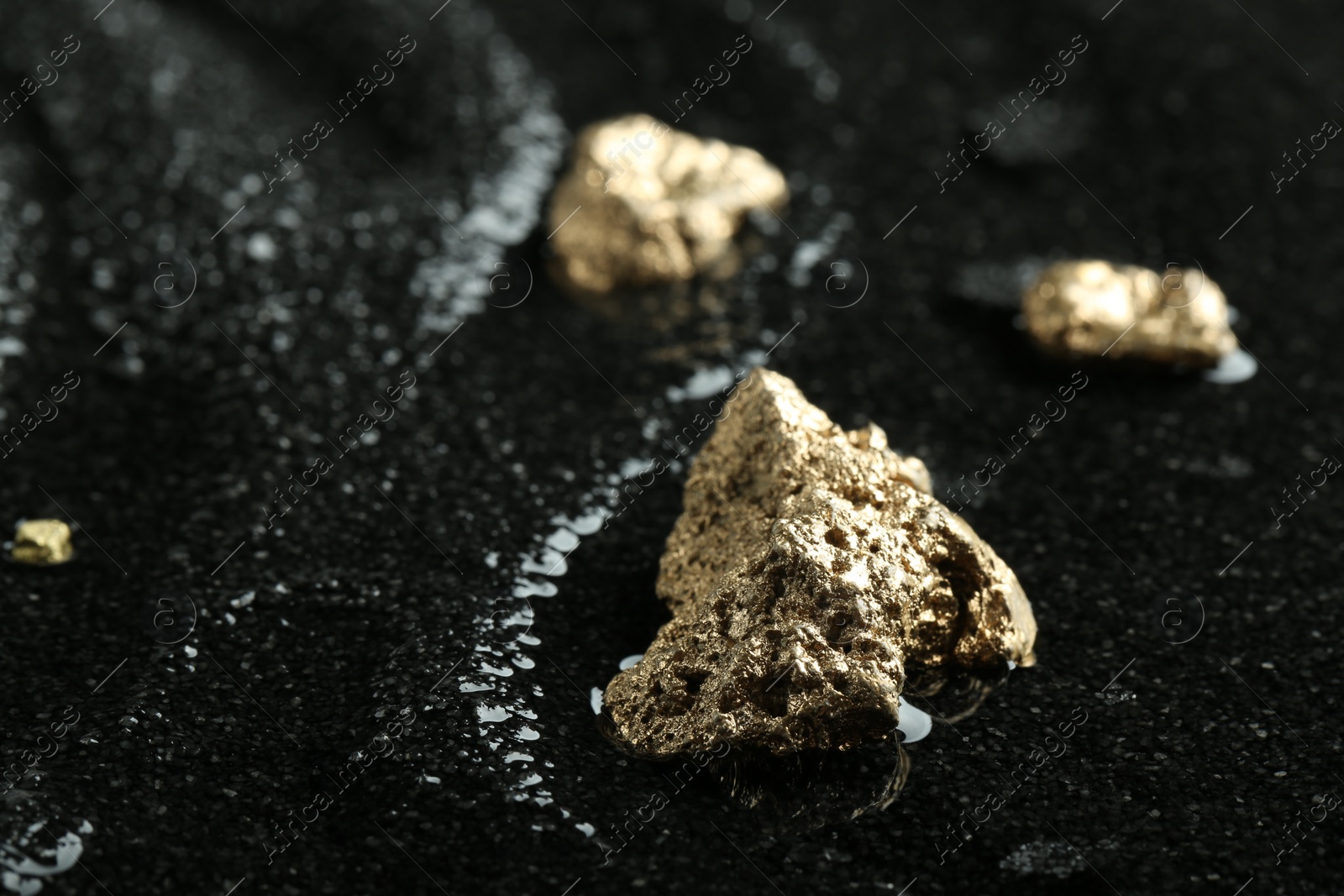 Photo of Shiny gold nuggets on wet black stone, closeup. Space for text