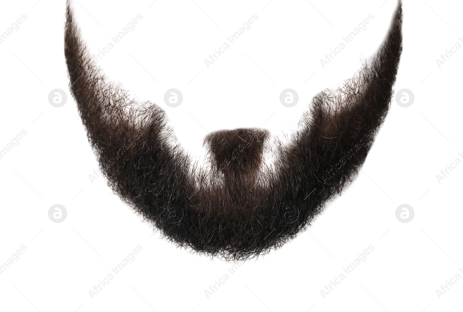 Image of Stylish beard isolated on white. Facial hair