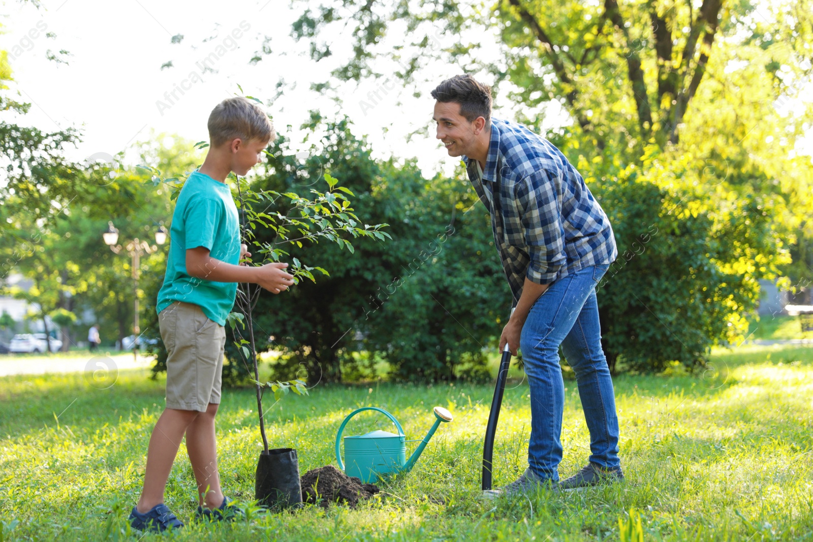 Photo of Dad and son planting tree in park on sunny day