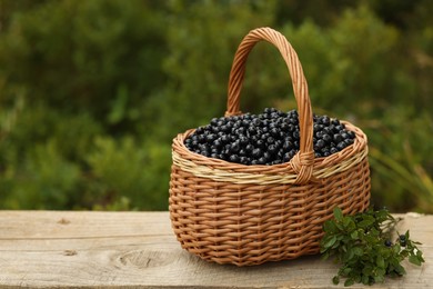 Photo of Wicker basket with bilberries on wooden table outdoors, space for text
