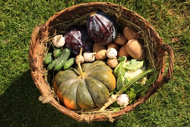 Photo of Different fresh ripe vegetables in wicker basket on grass, above view
