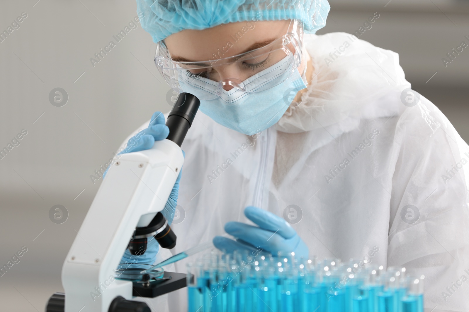 Photo of Young scientist dripping sample onto Petri dish while working with microscope in laboratory.