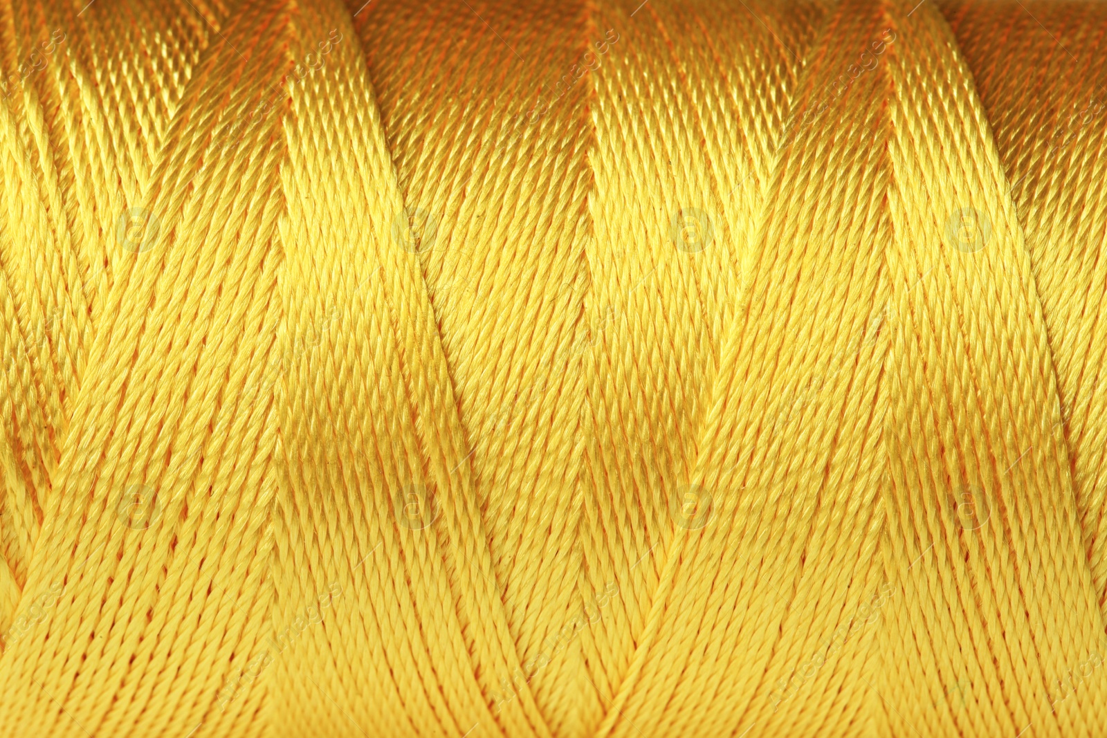 Photo of Color thread spool, closeup