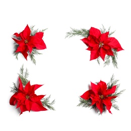 Flat lay composition with poinsettia and space for text on white background. Traditional Christmas flower