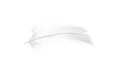 Photo of Beautiful fluffy bird feather isolated on white