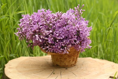 Beautiful lilac flowers in wicker basket on wooden stump outdoors