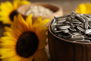 Photo of Bright sunflower and raw seeds in bowl, closeup