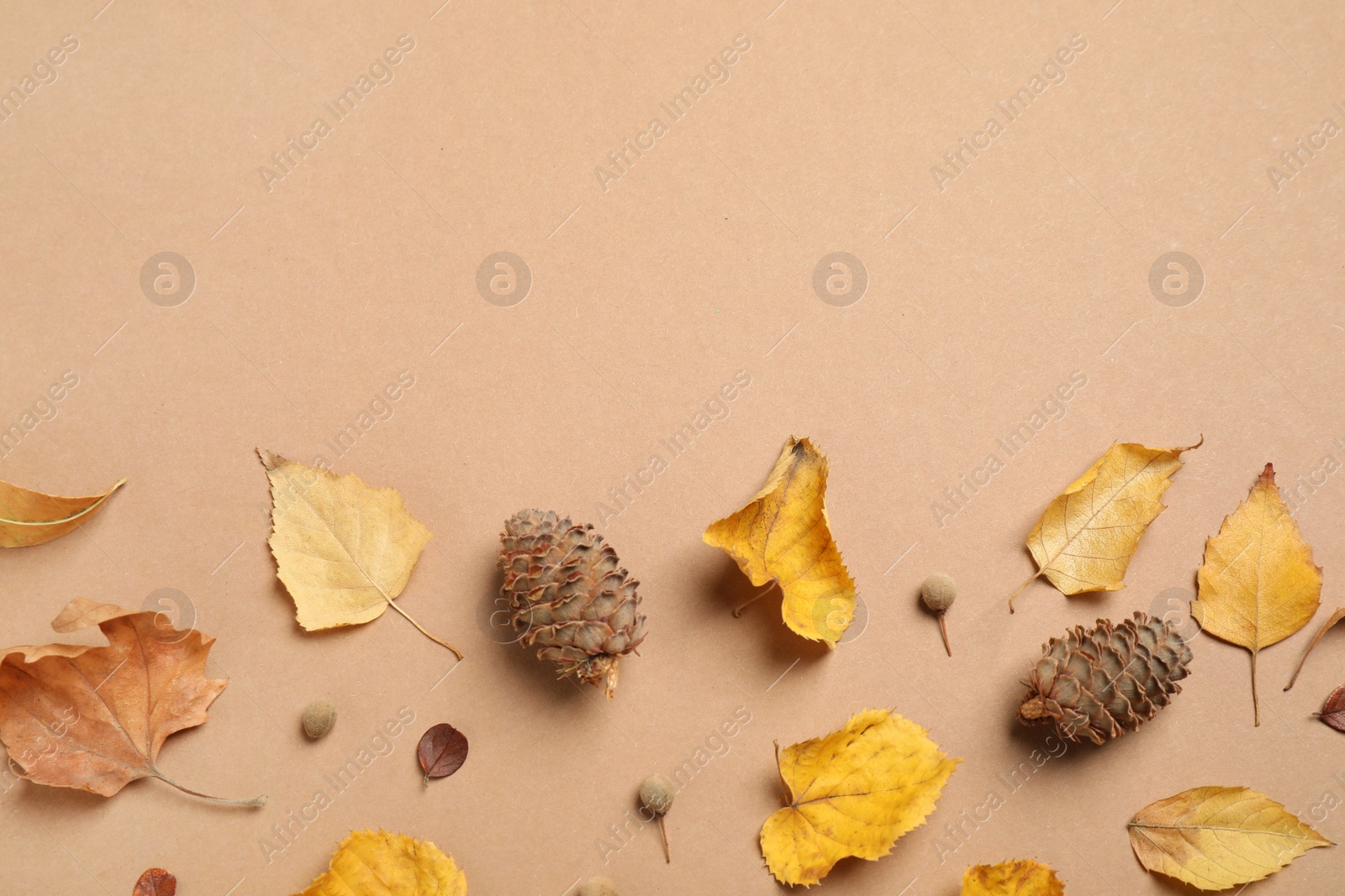 Photo of Flat lay composition with autumn leaves on beige background, space for text