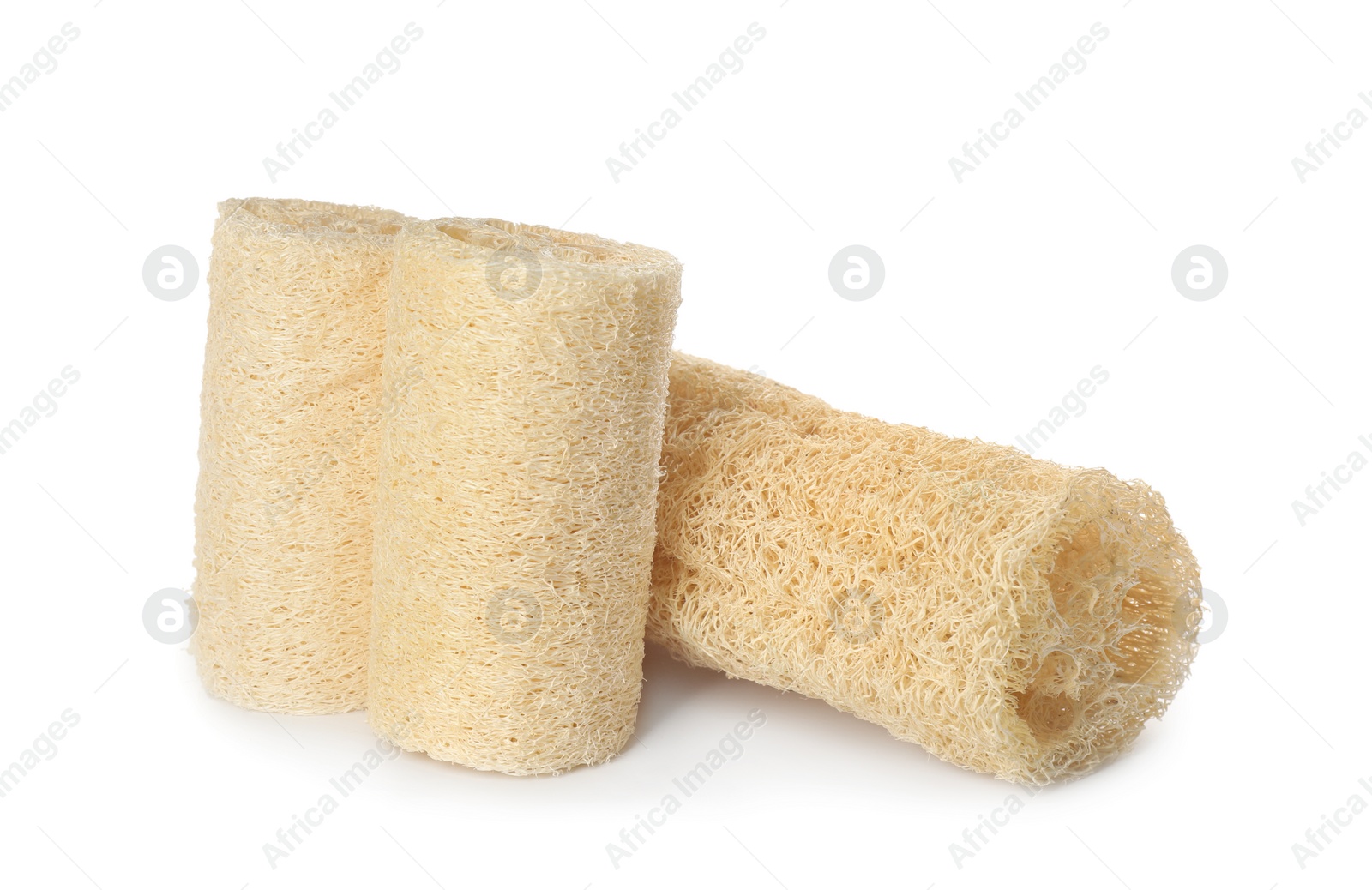 Photo of Group of natural loofah sponges isolated on white