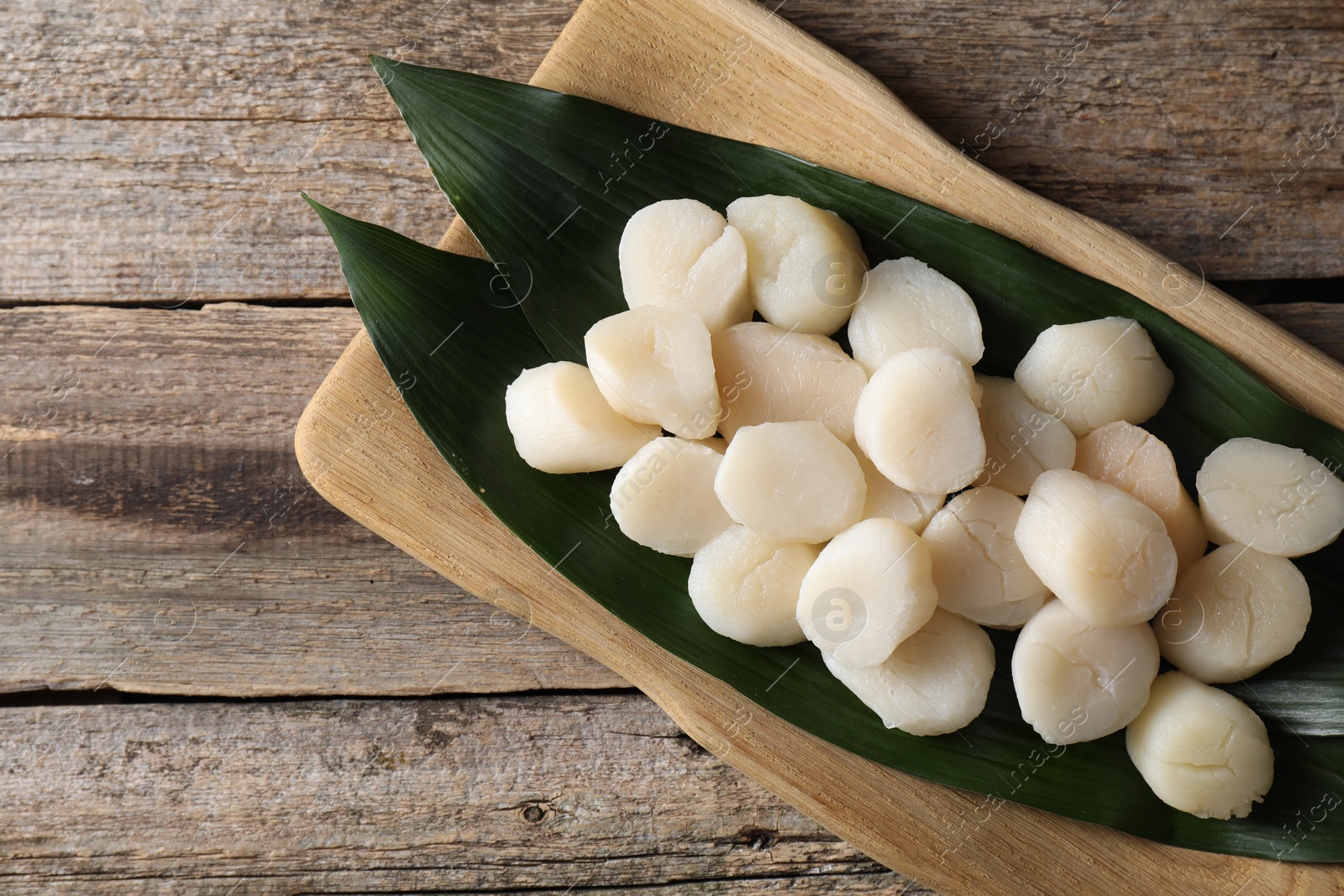 Photo of Fresh raw scallops on wooden table, top view. Space for text