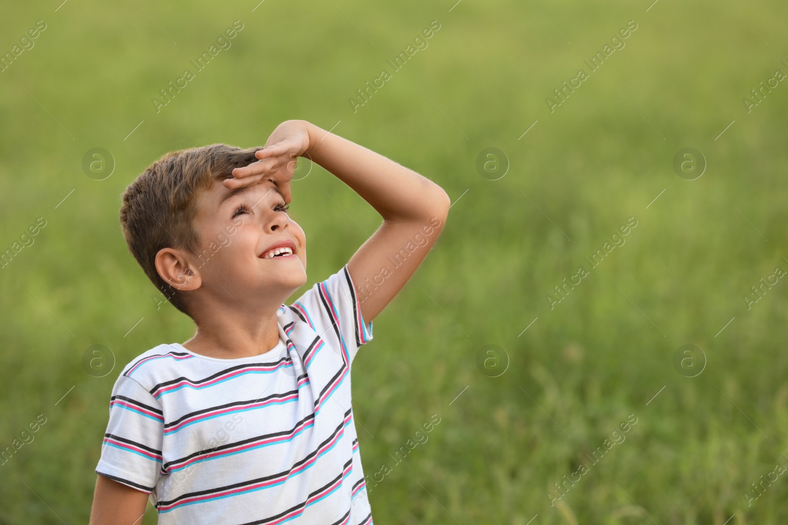 Photo of Cute little boy in field, space for text. Child spending time in nature