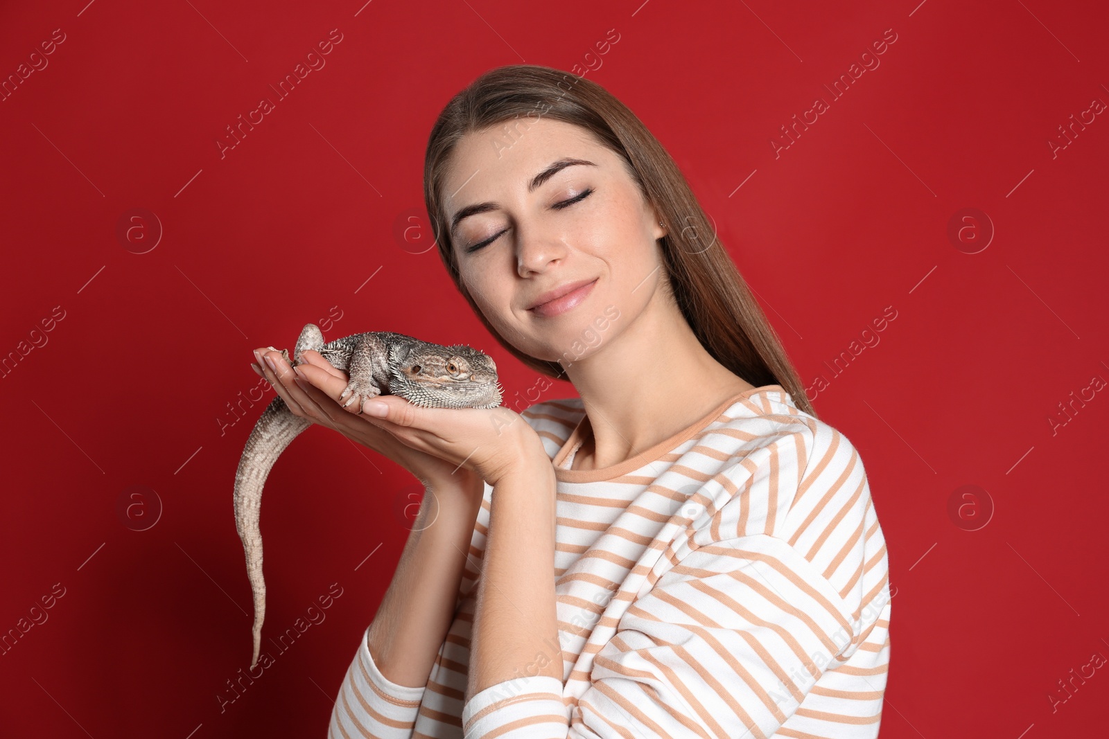 Photo of Woman holding bearded lizard on red background. Exotic pet
