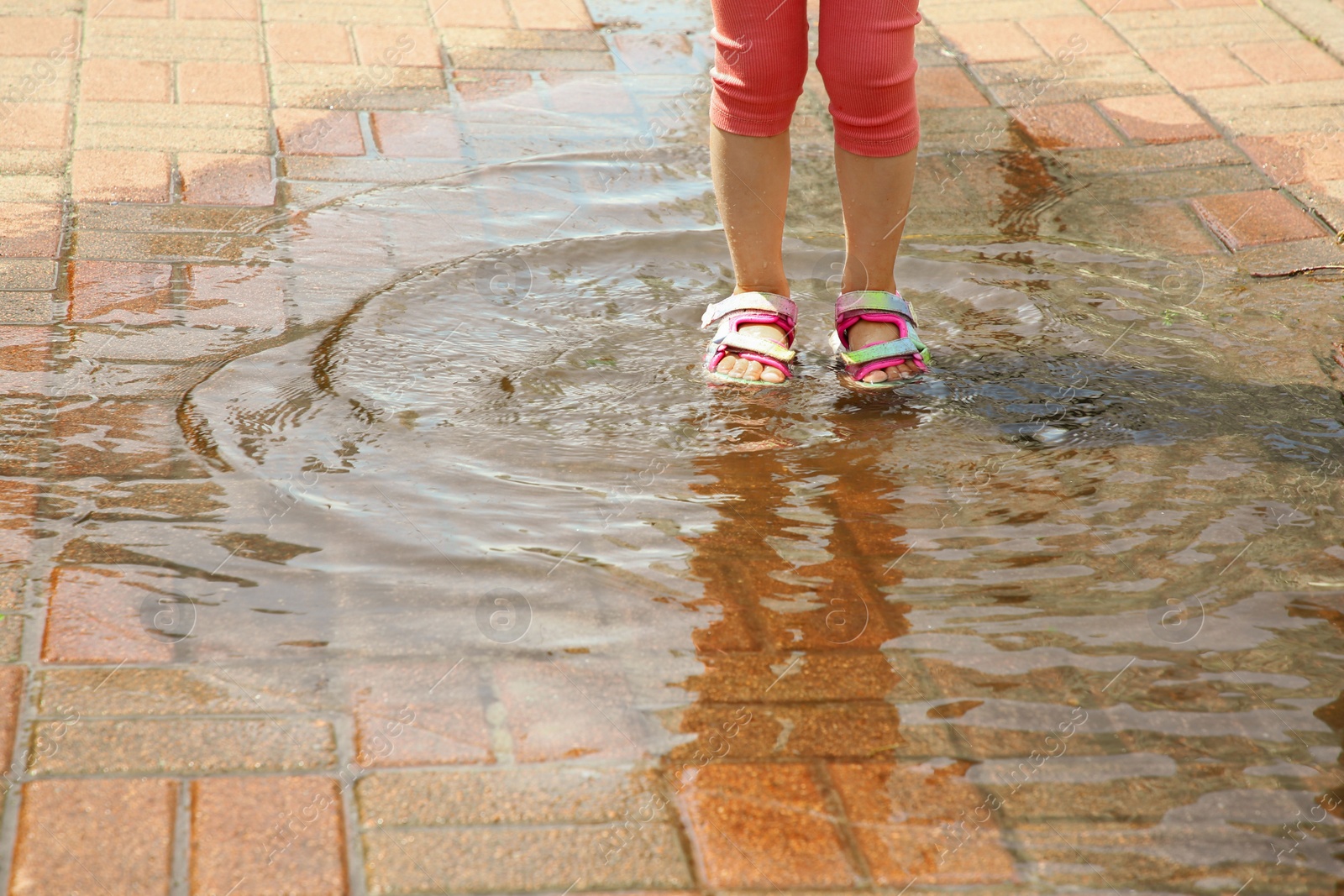 Photo of Little girl standing in puddle outdoors, closeup