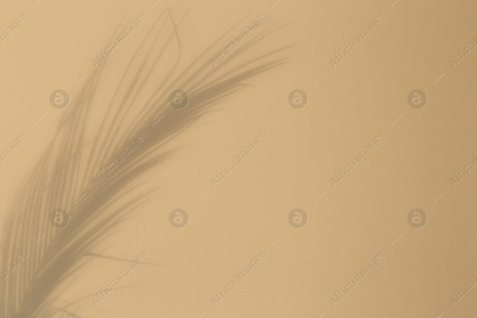 Photo of Shadow of tropical palm leaves on beige background, space for text