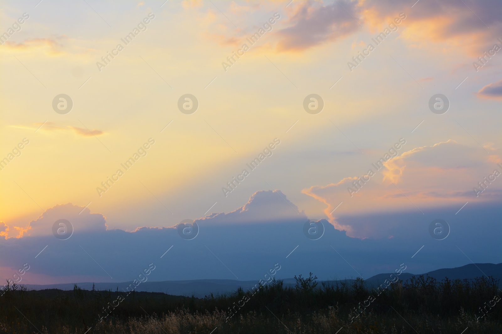 Photo of Picturesque view of beautiful field at sunset