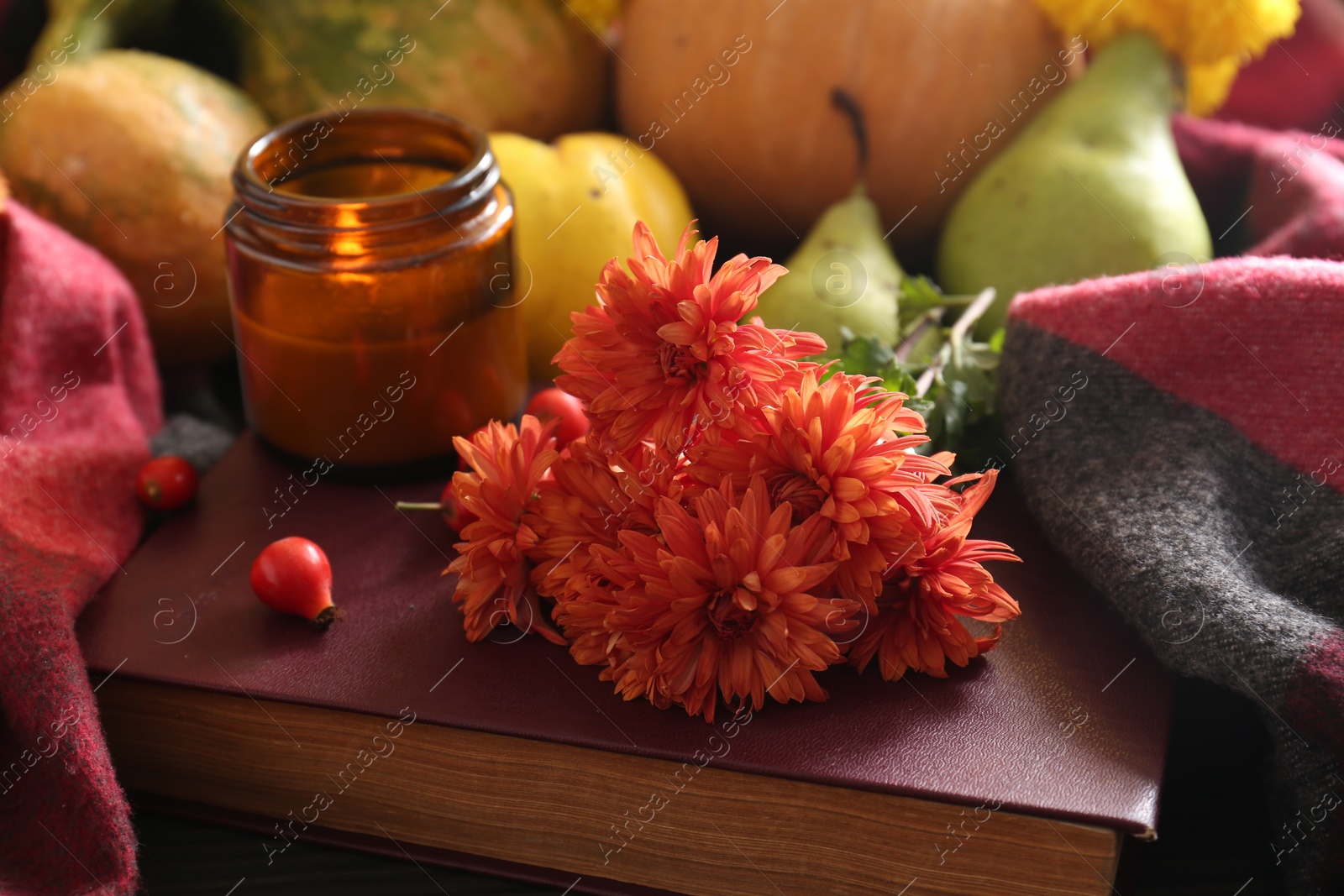 Photo of Beautiful orange chrysanthemum flowers, rosehip berries and scented candle on book. Autumn still life