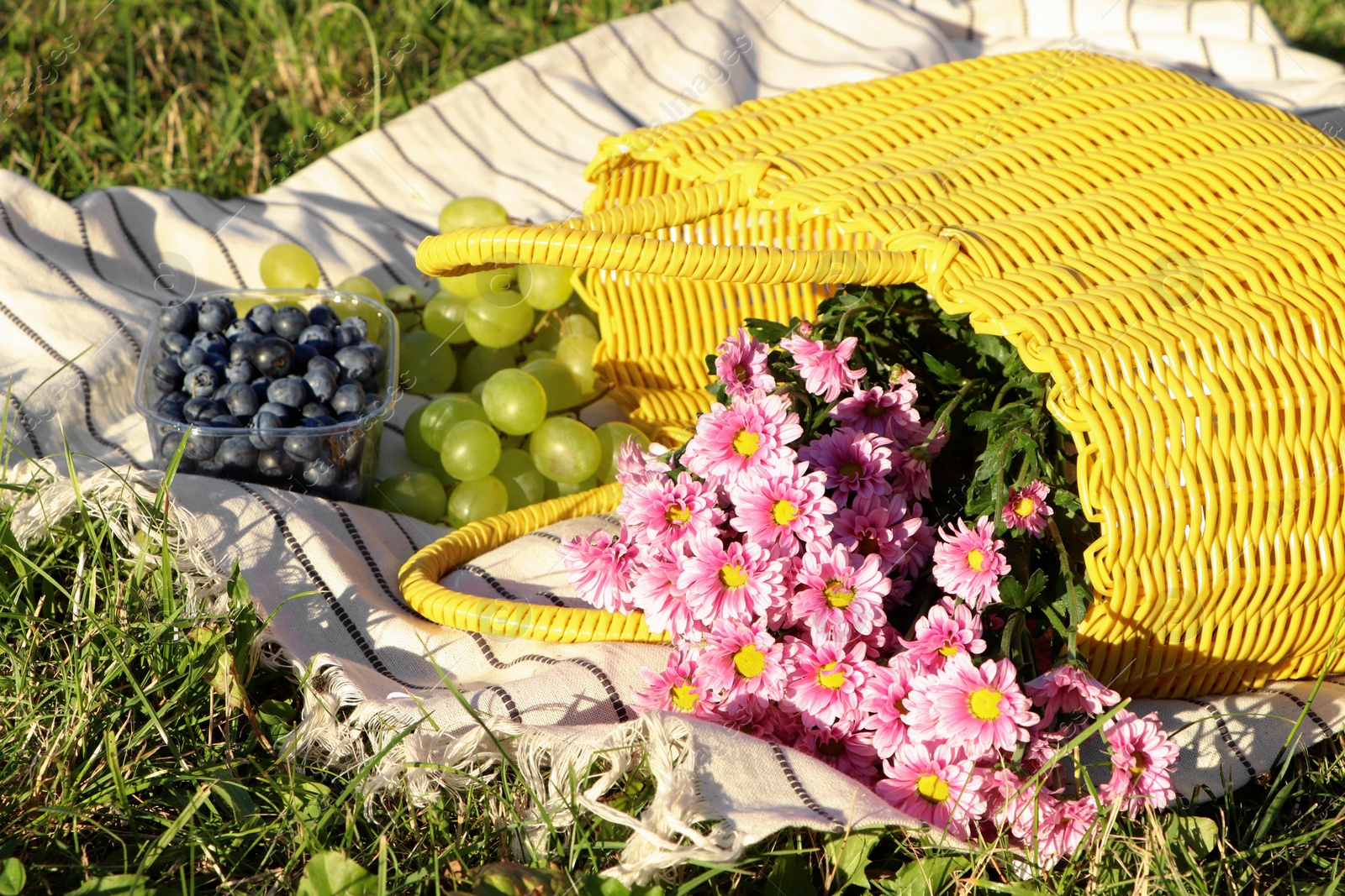 Photo of Yellow wicker bag with beautiful flowers, grapes and blueberries on picnic blanket outdoors, closeup